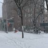 NYC Can Expect More Frigid Temperatures After Nor’easter Dumps Snow Over Metro Area